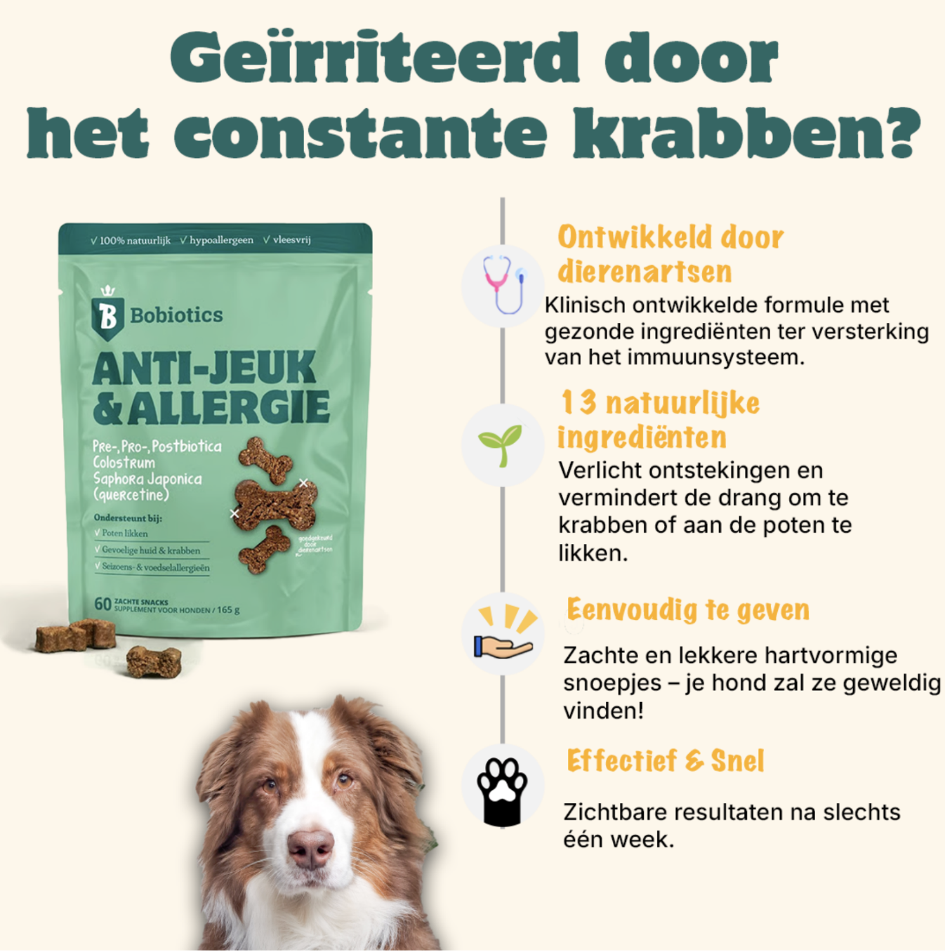fresh-dry vs standard kibble