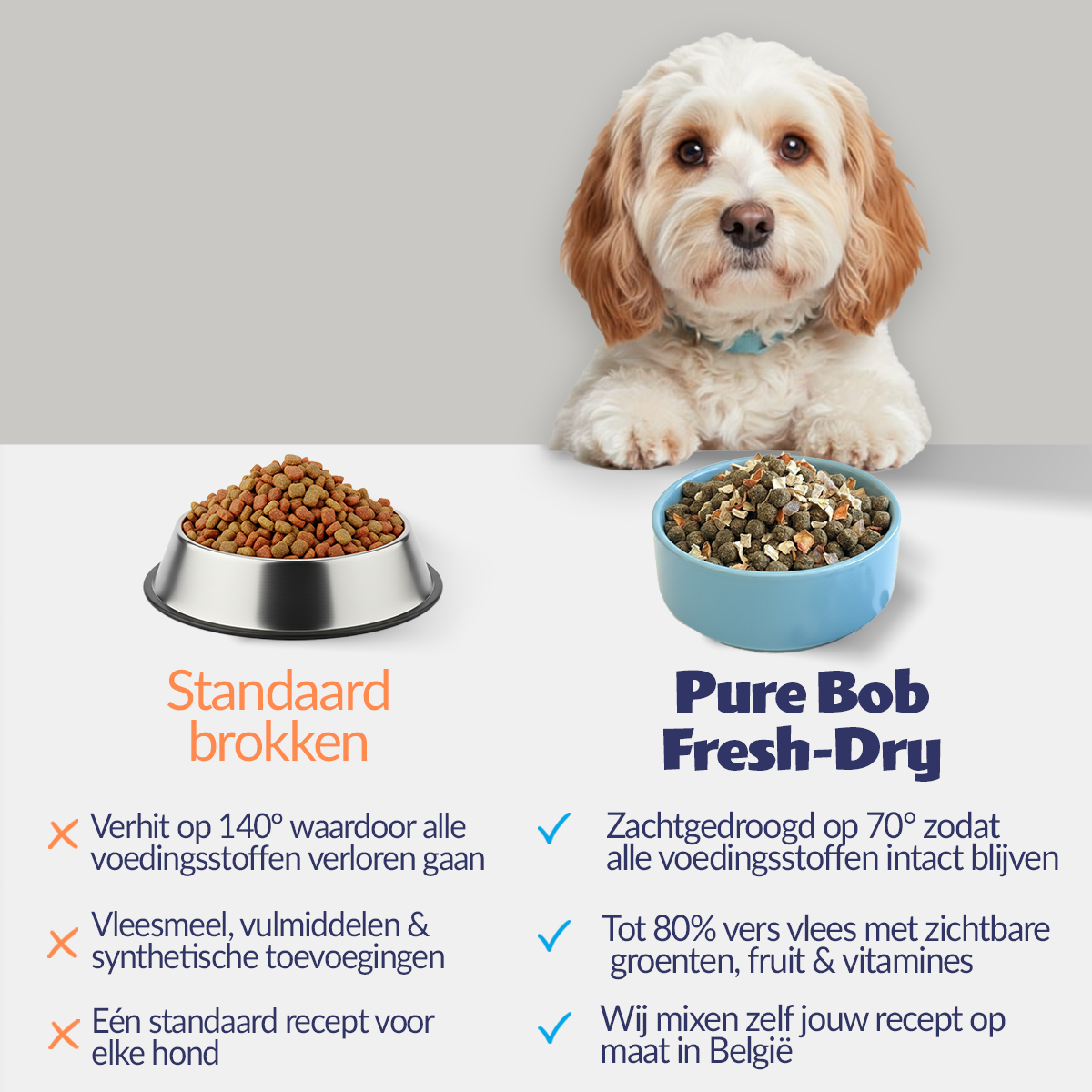 anti-itch benefits (nl)