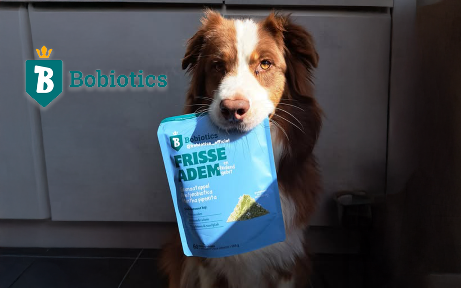 bobiotics / purebob